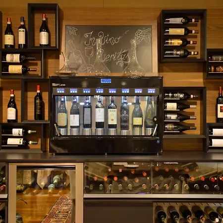 德伊皮托利酒店 4* 都灵