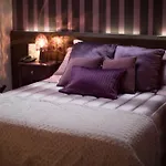 Dei Pittori Hotell 4*